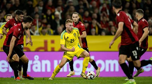Best Online Sport Betting Betking Guide